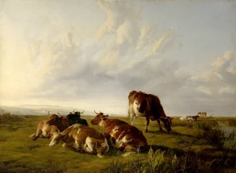 Afternoon in the Meadows